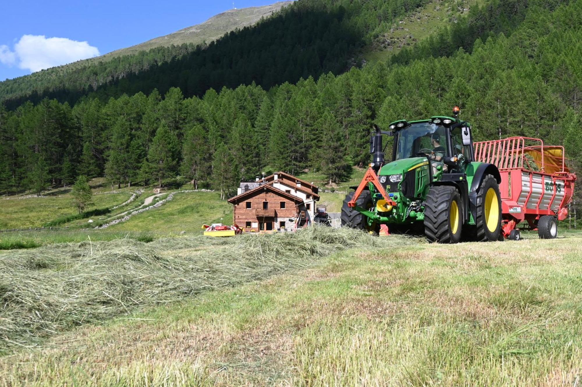 Agriturismo Bosco D'Oro Livigno Exterior photo